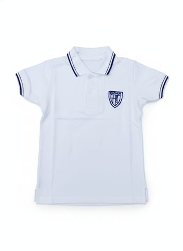 chomba colegio carmen